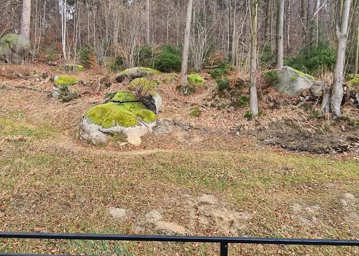 Nad Potokiem Kolo Karpacza Apartment Staniszow